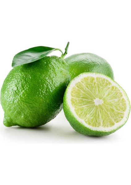 Thai Lime Limon Fidanı 5 Yaş 80 Cm