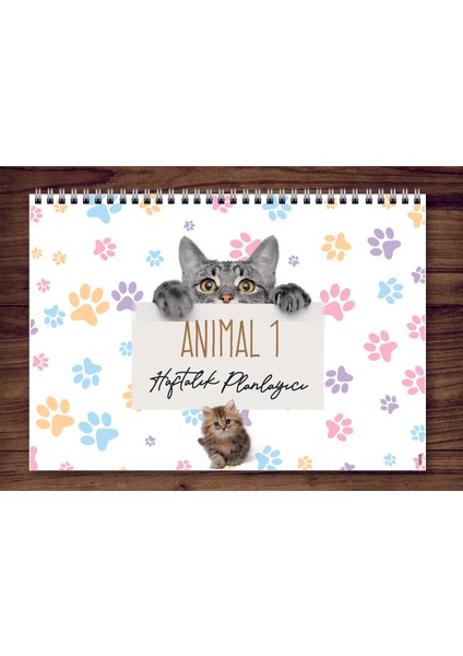 Express Planner A4 Haftalık Planlayıcı Cats Animal 1