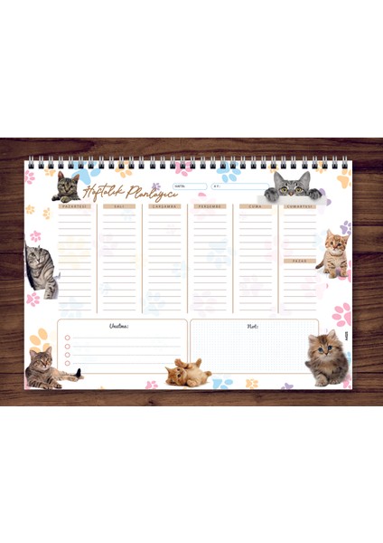 Express Planner A4 Haftalık Planlayıcı Cats Animal 1