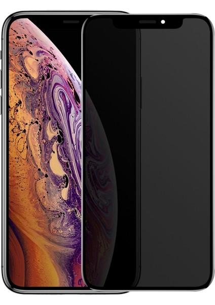 Privacy Antidust Mat Apple iPhone X/xs Ekran Koruyucu