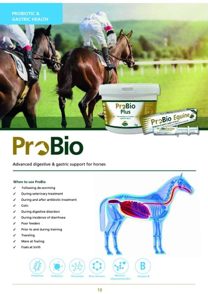 Probio Equine Tup