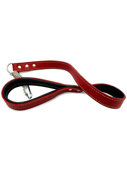 Kırmızı Deri Köpek Gezdirme Tasması fiyatları