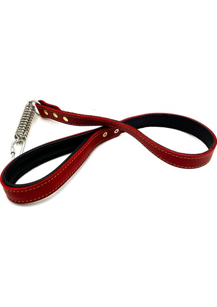 Kırmızı Deri Köpek Gezdirme Tasması modelleri