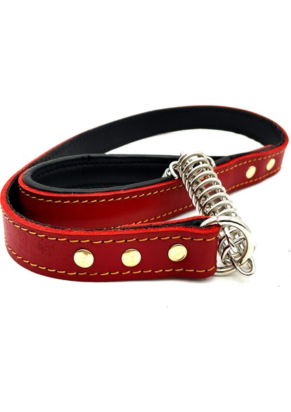 Kırmızı Deri Köpek Gezdirme Tasması fırsatları