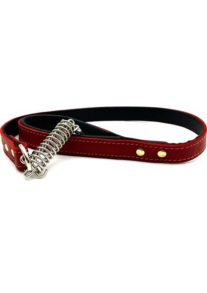 Kırmızı Deri Köpek Gezdirme Tasması indirimleri