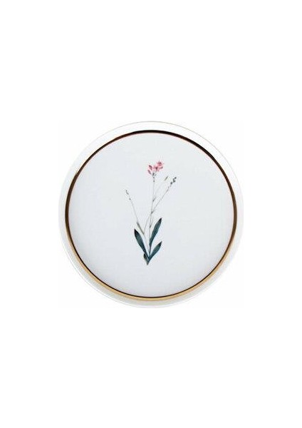 Botanıcal Ds.4 Düz Tabak 18CM