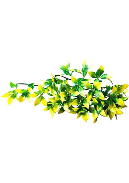 Akvaryum Aksesuarı (Yurt Dışından) fiyatları