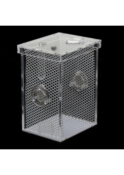 Sürüngen Teraryum Aksesuarı (Yurt Dışından) modelleri