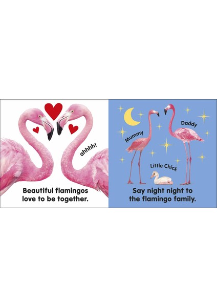 Baby Touch And Feel Flamingo