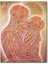 Cakatablo Ahşap Tablo Insan Anatomisi Öpüşen Çift Sanat Görseli (25X35 cm Boyut) 1