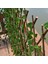 Yapay Sarmaşık Yaprak Çit Bahçe Balkon Çiti 120 cm x 3 Metre 3