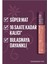 Maybelline New York Ruj Lıkıt Zodıac Ss Matte Ink 65 5