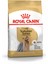 Yorkshire Terrier Adult Yetişkin Köpek Maması 1.5 kg 1