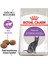 Sterilised 37 Kısırlaştırılmış Kedi Maması 2 kg 2