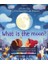 What Is The Moon? - Lift-The-Flap  Very First Questions & Answers - Katie Daynes 1