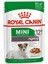 Mini Ageing +12 Küçük Irk Yaşlı Köpek Konservesi 85 gr 1