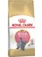 British Shorthair Için Özel Yavru Kedi Mamasi 2 kg 1
