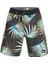 Highlite Arch 19 Erkek Boardshort Deniz Şortu EQYBS04648 1