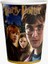 Harry Potter Parti Süsleri 16 Kişilik Afişli Masa Etekli Harry Potter Doğum Günü Seti 3