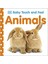 Baby Touch And Feel Animals 8