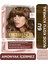 LOREAL PARİS SAÇ BOYASI & EXCELLENCE NUDE RENKLER COLORS NO : 6U NUDE KOYU KUMRAL 1