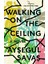Walking On The Ceiling 1