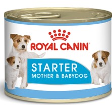 Royal Canin Starter Mousse Mother Babydog 12x195gr (12li)