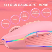 Huahai Oyun Ofis Çalışanı Için Rgb Arkadan Aydınlatmalı 4 Dpı Ergonomik Kablolu Fare - Tip C(Yurt Dışından)