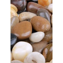 Alyones 5kg Karışık Renkli Cilalı Çakıl Taşları, Doğal Cilalı Dekoratif Taşlar, Peyzaj & Vazo Dolguları