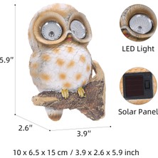 Tomfeel Owl Outdoor Decor Solar Light Duvar, Tree Hugger (Yurt Dışından)