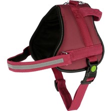 Kerbl Köpek Belden Tasma Maestro 2.0 Bordo 83 - 113 cm