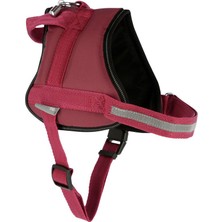 Kerbl Köpek Belden Tasma Maestro 2.0 Bordo 45 - 60 cm