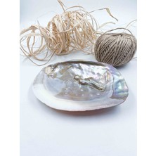 Mucize Taş Istiridye Kabuğu