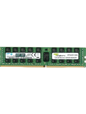 Bigboy BTS429/16G 16 GB Ddr4 2933MHZ CL21 Ecc Registered Sunucu Bellek