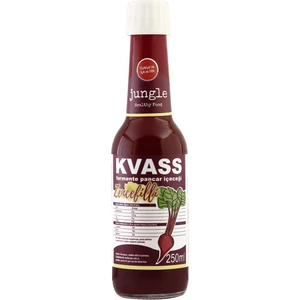 Healty Food Pancar Kvass Zencefilli 250 ml