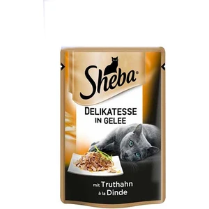 Pouch Hindi Etli ve Jöleli Yetişkin Kedi Konservesi 12x85gr (12li)