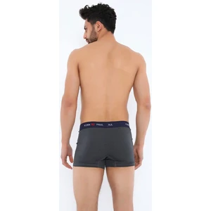 Kenn Paul 12 Adet Füme Renk Likralı Boxer