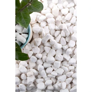 1 kg Dolomit Bitkiler, Bahçeler, Akvaryum Çakılları,