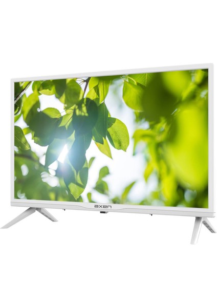 AX24LEDE09-B 24" 60 Ekran Uydu Alıcılı HD LED TV