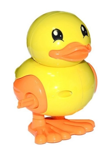 URT005-01 , Kurmalı Ördek