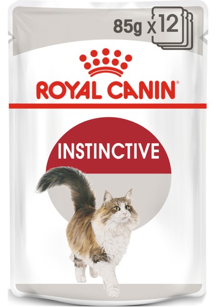 Instinctive Gravy Kedi Konservesi 12x85gr (12li) fiyatları
