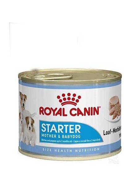 Starter Mousse Mother Babydog 12x195gr (12li)