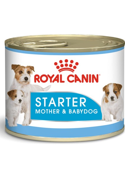 Starter Mousse Mother Babydog 12x195gr (12li)