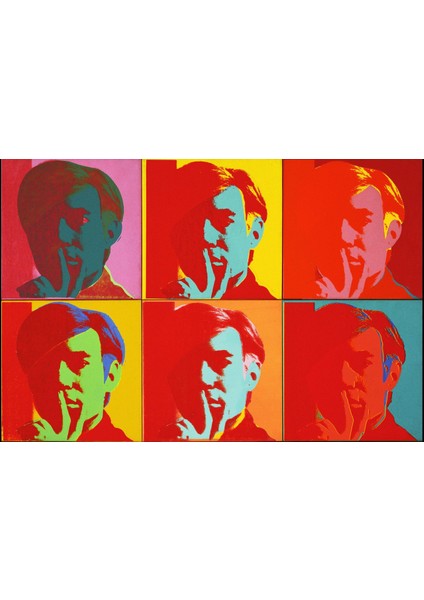 Andy Warhol Self Portrait