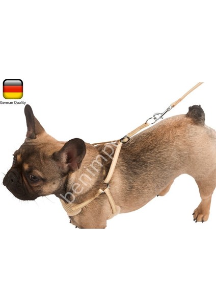 Yavru Köpek Tasması Puppy Harness 24 - 44 cm
