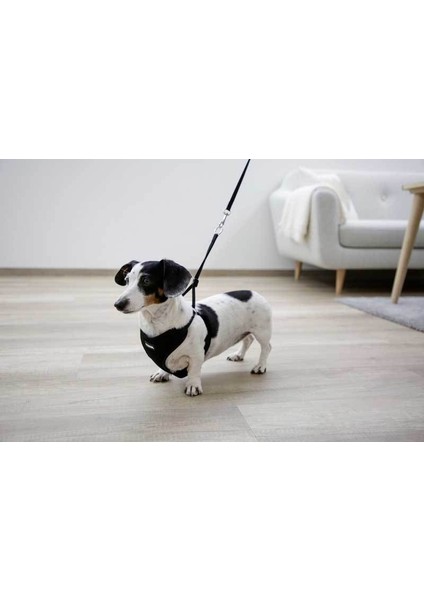 Yavru Köpek Göğüs Tasması Siyah 24 - 44 cm