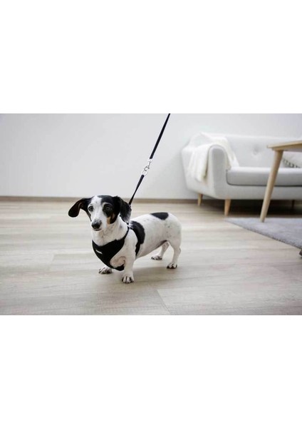 Yavru Köpek Göğüs Tasması Siyah 24 - 44 cm