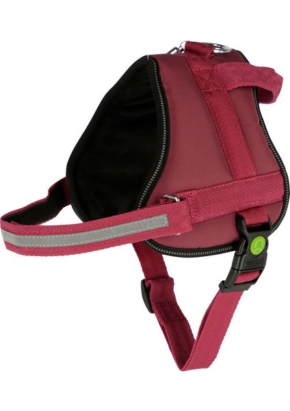 Köpek Belden Tasma Maestro 2.0 Bordo 45 - 60 cm