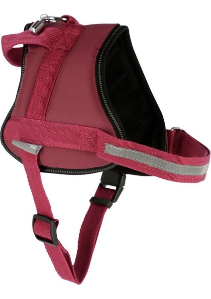 Köpek Belden Tasma Maestro 2.0 Bordo 45 - 60 cm