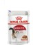 Instinctive Gravy Kedi Konservesi 12x85gr (12li) 1